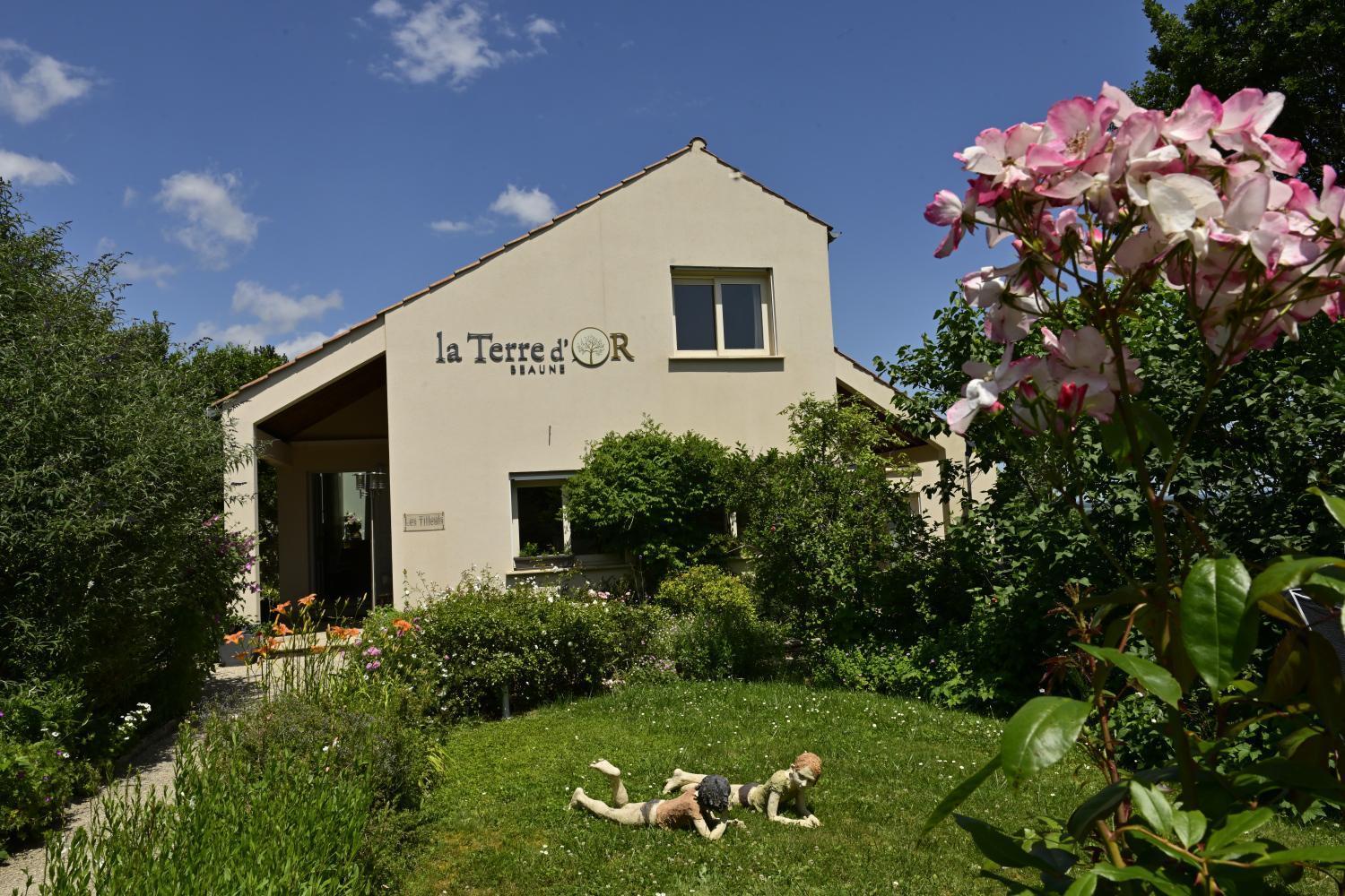 Willa La Terre D'Or Beaune  Zewnętrze zdjęcie